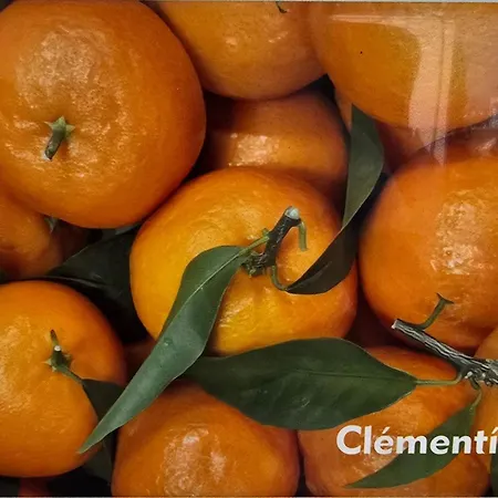 Clementine *